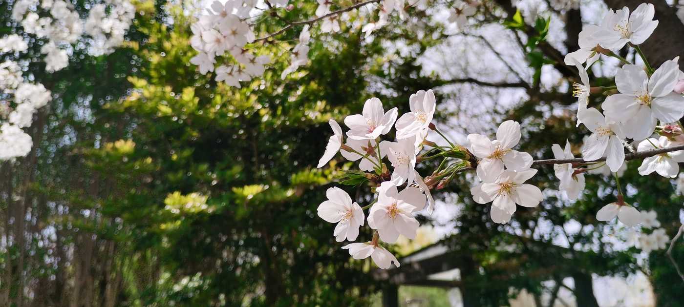 Article_13_1